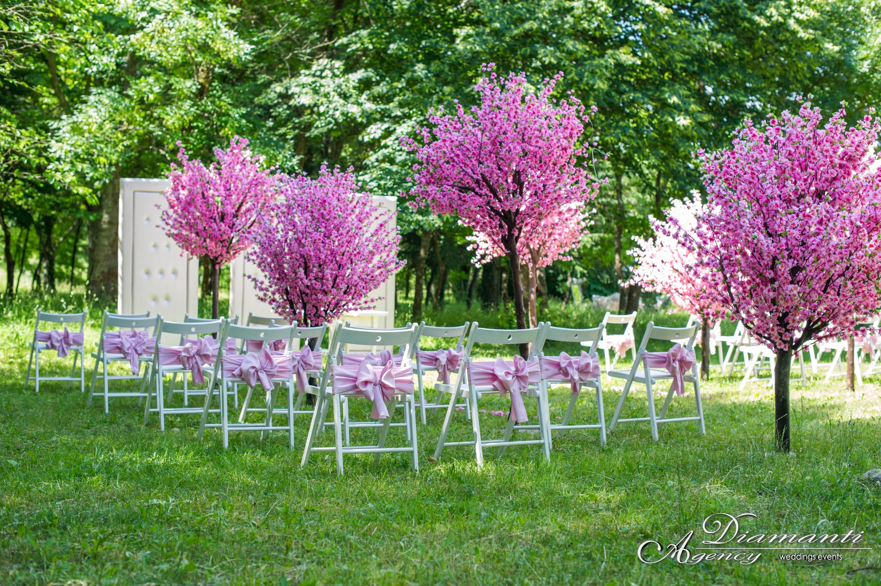 Cherry Blossom Tree 002