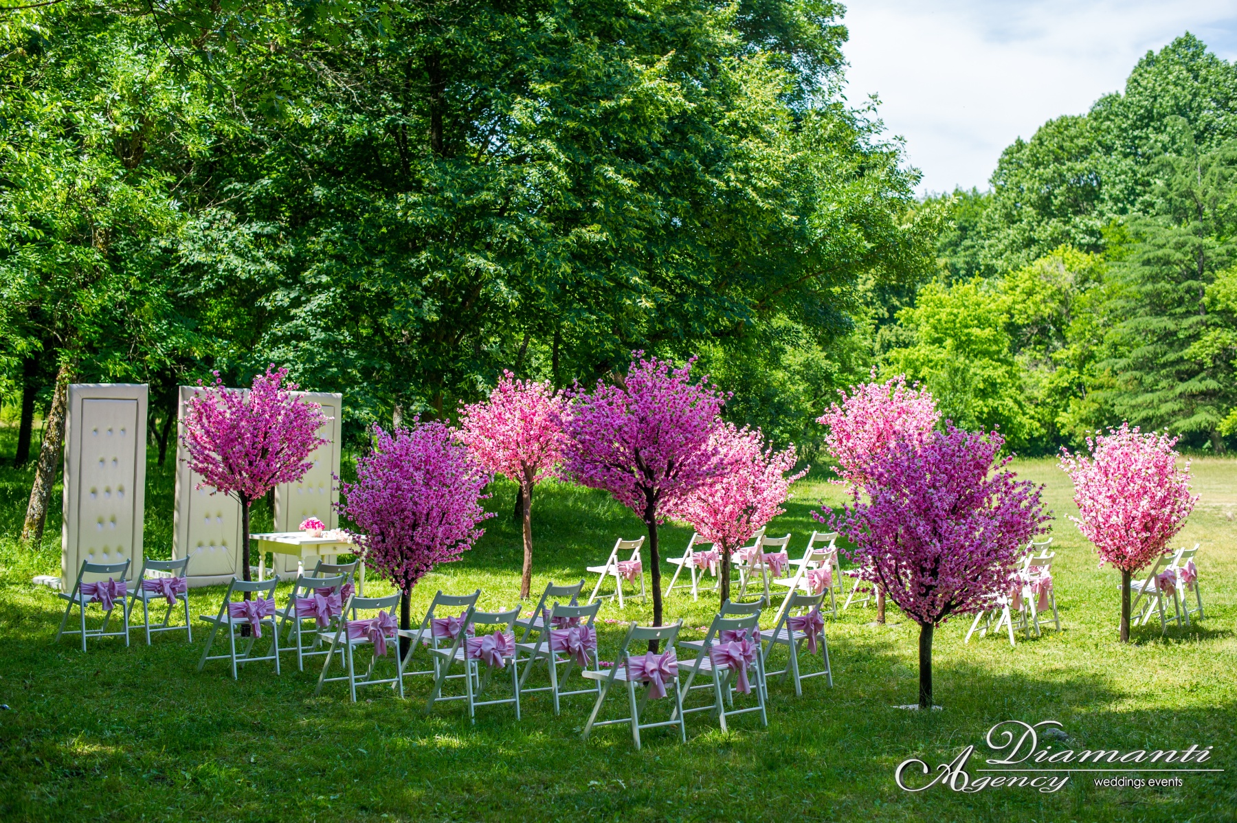 Cherry Blossom Tree 004