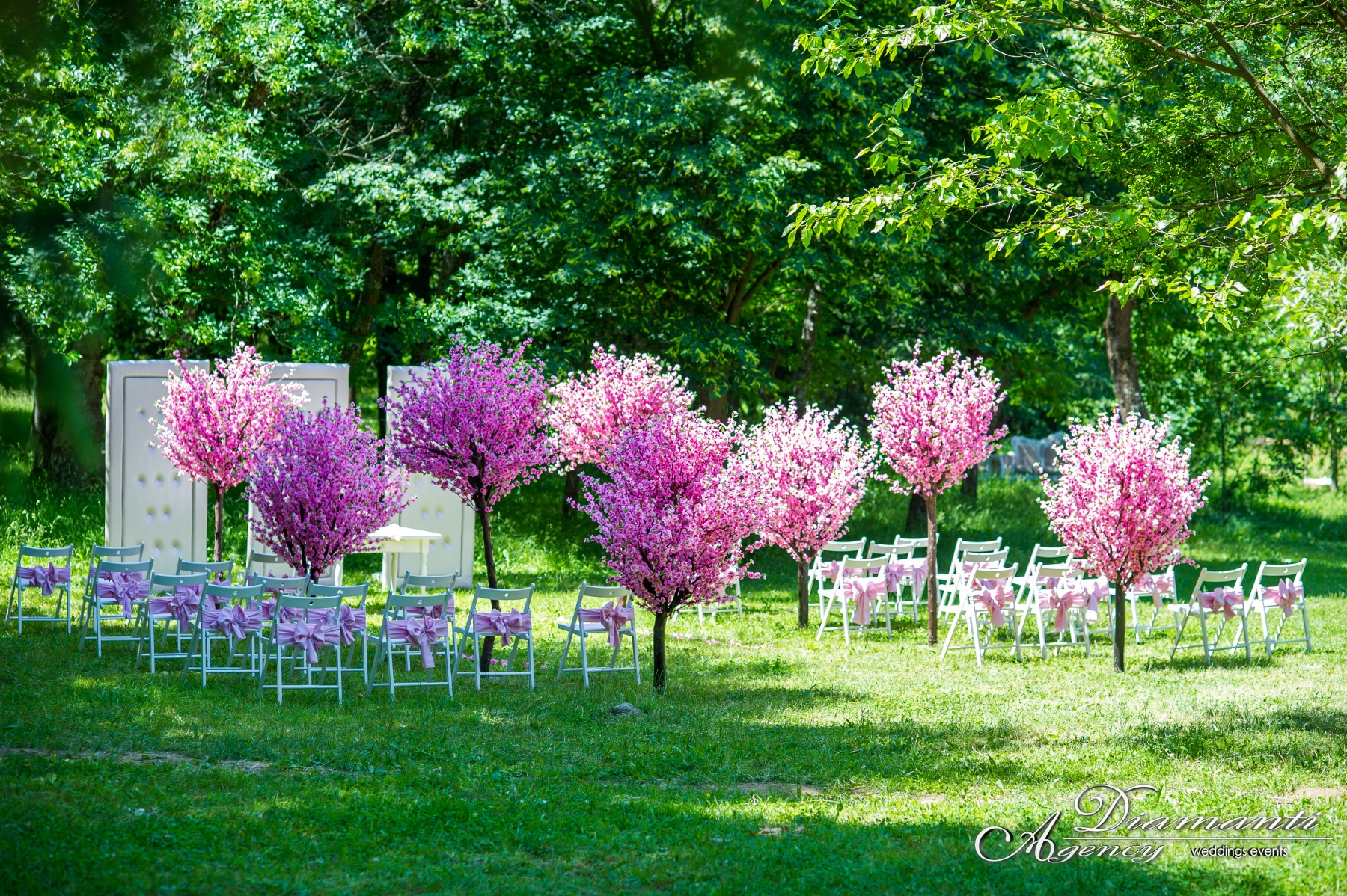 Cherry Blossom Tree 006