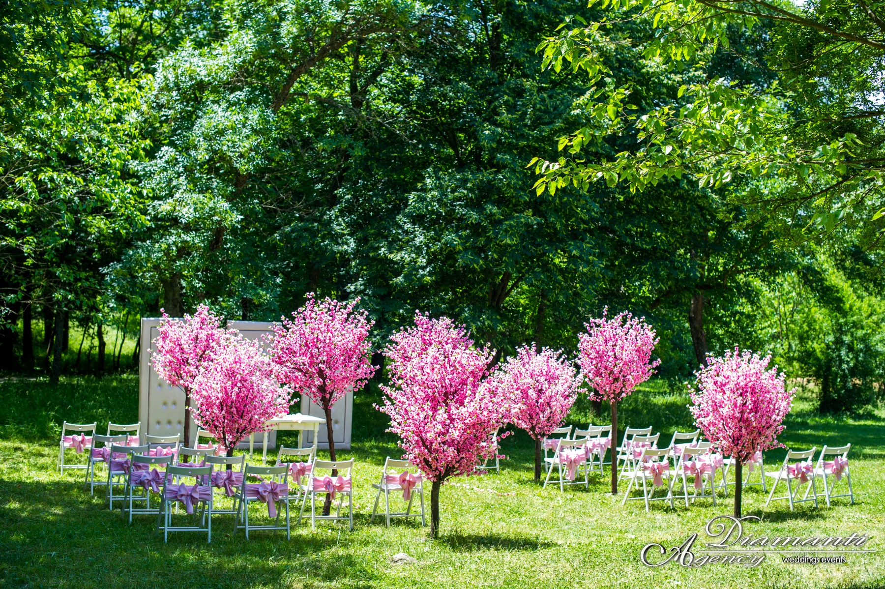 Cherry Blossom Tree 011
